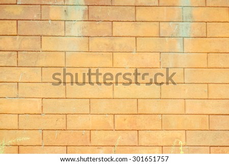 de focused wall and brick wall and be strong sunlight at noon and blurry background and vintage style