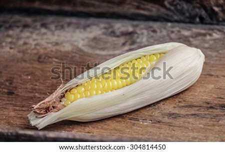 steamed corn is isolated and be strong sunlight and low light