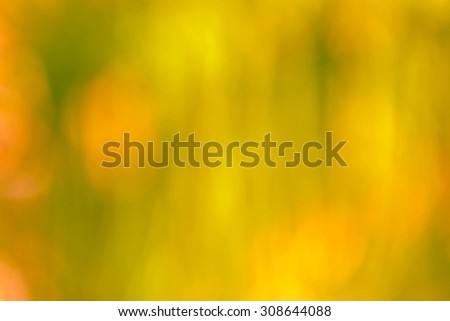blur background and soft background and green leaf background