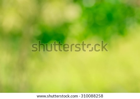 blur background and soft background and bokeh background and nature background