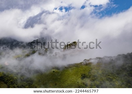 Similar – Foto Bild Wald in dichtem Nebel. Natur Landschaft Blick auf nebligen Wald im Herbst Saison