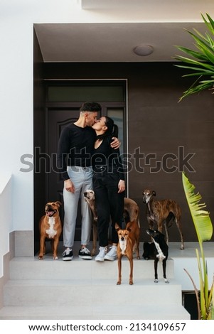 Similar – Image, Stock Photo Woman kissing greyhound while relaxing on street