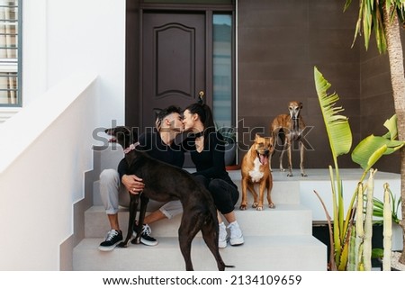 Similar – Image, Stock Photo Woman kissing greyhound while relaxing on street
