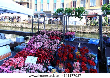 MILAN, ITALY - APRIL 14: Looking for flowers during the annual Flowers Market in the fashion and culture Navigli area April 14, 2013 in Milan, Italy.