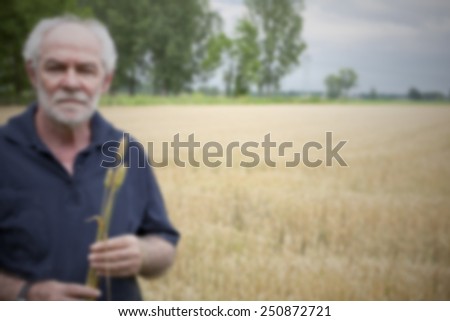 Man and his corn field. Intentionally blurred editing post production.