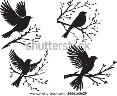  bird  silhouette white background  nature 