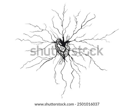 Vector illustration of hand-drawn human heart with roots on a light background. Heart shaped root