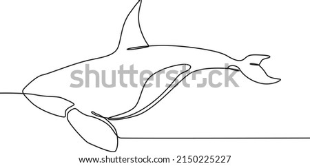 Continuous one line drawing Orca on white. international ocean day. Single line draw design vector graphic illustration.