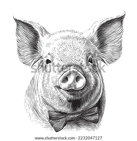 Portrait of a pig in a bow tie sketch hand drawn engraving style sketch refine illustration