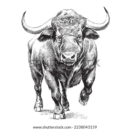 Angry bull runs towards the opposite direction hand drawn sketch Vector illustration