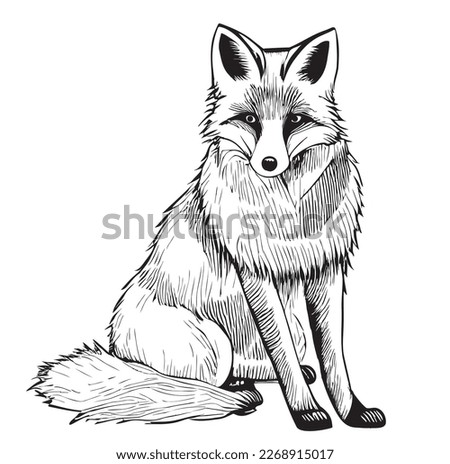 Realistic Fox Drawing | Free download on ClipArtMag