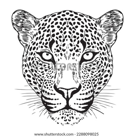 Leopard face hand drawn sketch Vector illustration Wild cat