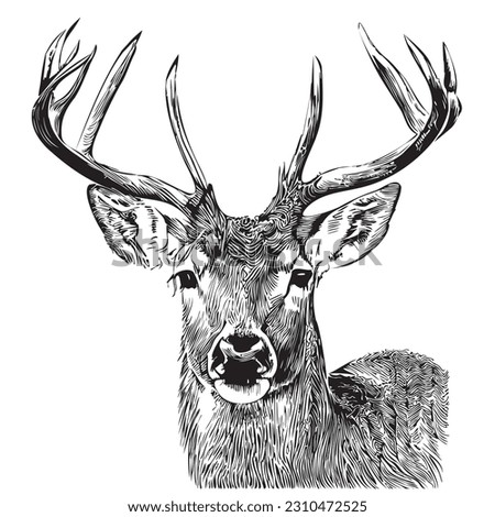Deer face sketch hand drawn in doodle style illustration