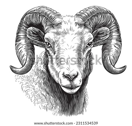 Ram face sketch hand drawn in doodle style illustration