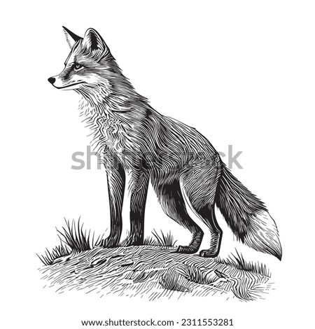 Wild fox hand drawn sketch in doodle style illustration