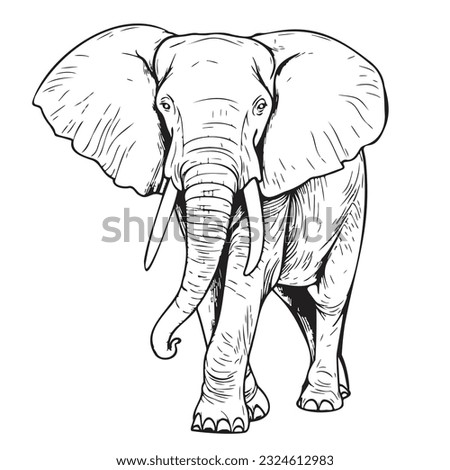 Elephant walking sketch hand drawn in doodle style illustration