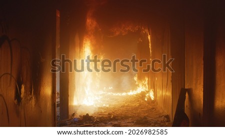 Similar – Image, Stock Photo Urgent search! Search