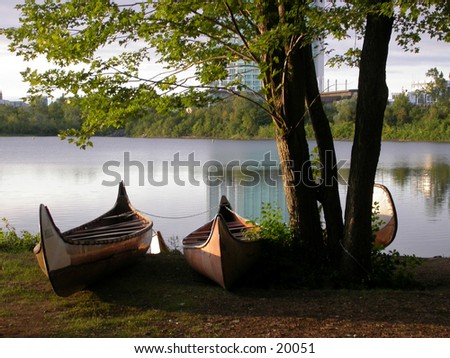 Tree canoes