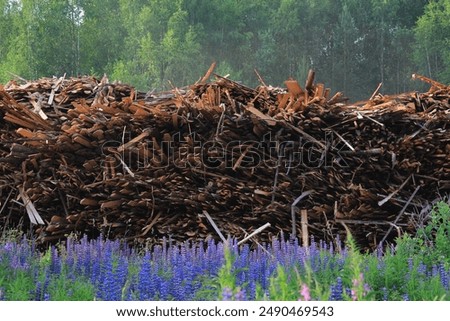 Similar – Image, Stock Photo Wood pile with sawed tree trunks after forestry work in Oerlinghausen near Bielefeld in the Teutoburg Forest in East Westphalia-Lippe