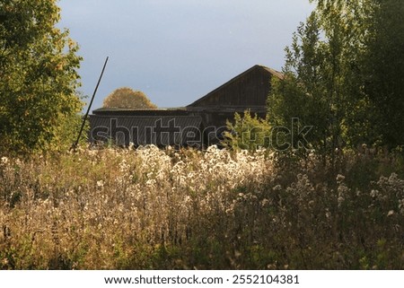 Similar – Image, Stock Photo Old and uninhabited