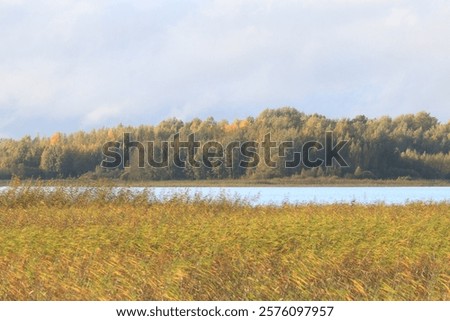 Similar – Image, Stock Photo light Idyll River bank