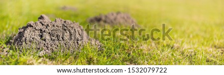 Similar – Image, Stock Photo Mole heap in a meadow