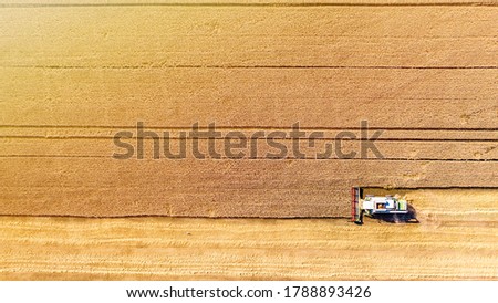 Similar – Foto Bild Luftaufnahme von Mähdrescher, Erntemaschine erntet reife Sonnenblume