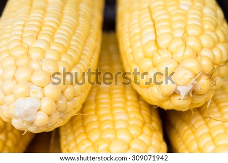 Photo of yellow corn background, abstract backgrounds, harvest season, healthy organic nutrition, maize cob, golden textured wallpaper, fresh prepared grain, tasty vegetable, vegetarian meal closeup