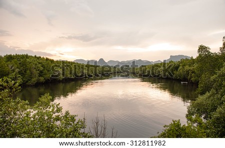 During sunset at  mangrove forest along the river to the end of view at the mountain
