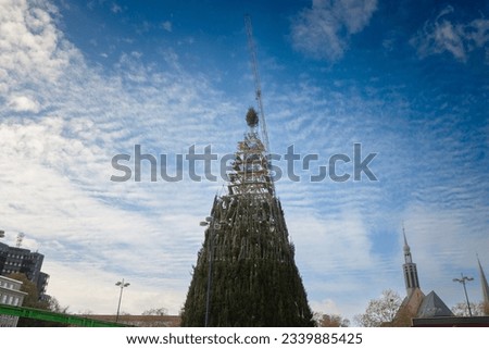 Similar – Image, Stock Photo christmas tree Tannenbaum