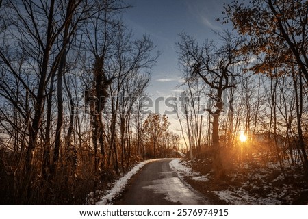 Image, Stock Photo Snowy farmland against frosted forest at horizon under blue sky with white fluffy clouds