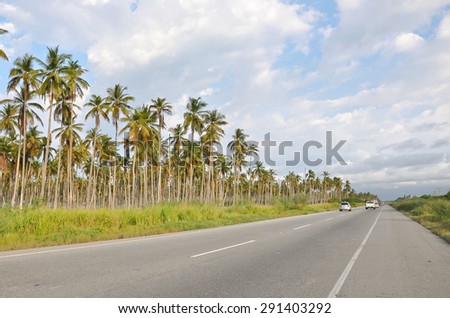 Beautiful Caribbean road with palm trees along the coast of Venezuela