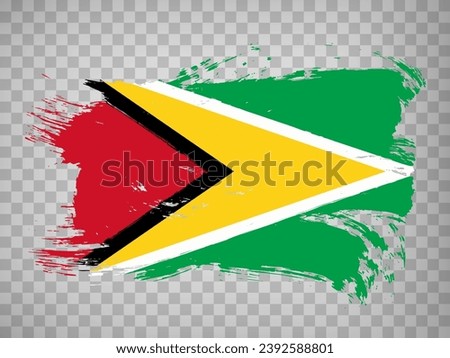 Flag of Guyana from brush strokes. Flag of Guyana on transparent background for your web site design, logo, app, UI.  Stock vector.  EPS10.