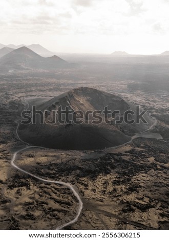 Similar – Image, Stock Photo Vertical drone view at top of a green forest at springtime, birds eye view from above.