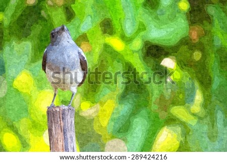 A bird oil painting