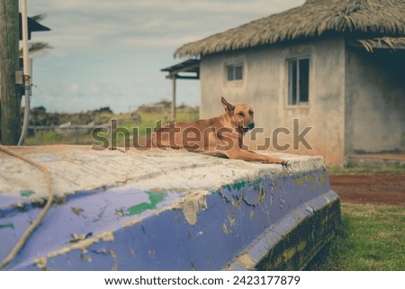 Similar – Foto Bild Kleine Fischerhütte