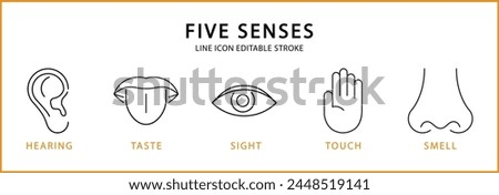 Five Senses Icons. Five senses icon set. Five senses Line Icons. Vector Illustration. Editable stroke.