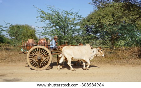 Bagan, Myanmar - Jan 21, 2015. An unidentified Burmese man riding ox cart at Ancient city in Bagan (Pagan) Archaeological Zone, Myanmar with over 2000 Pagodas and Temples.