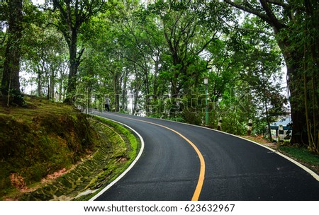 Scenic road through mountain forest at summer time. Photo stock © 