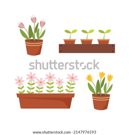 Flowers pot. Nature cartoon vector illustration of flowers and leaves beautiful collection. Blossom plant, botanical flowerpot