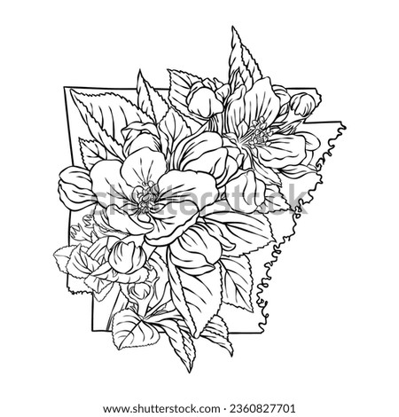 Arkansas state flower, lineart vector illustration of apple blossom flower, fits the Arkansas state map frame, cool for stickers, coloring books, t-shirts, etc.