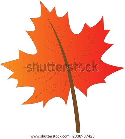 maple bright orange autumn leaf