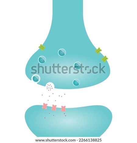 Synaptic Cleft Axon Terminal science vector illustration graphic template