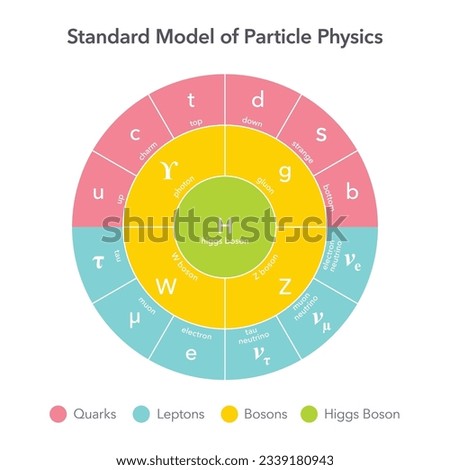Standard Model of Particle Physics vector illustration chart