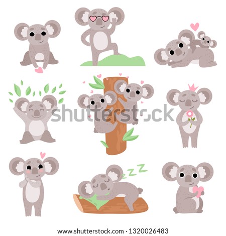 Cute Coala Bears Set, Funny Animal Cartoon Characters in Various Poses and Situations Vector Illustration