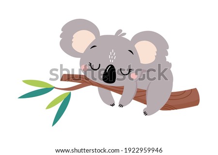 Cute Koala Sleeping on Tree Branch, Lovely Australian Animal Cartoon Vector Illustration