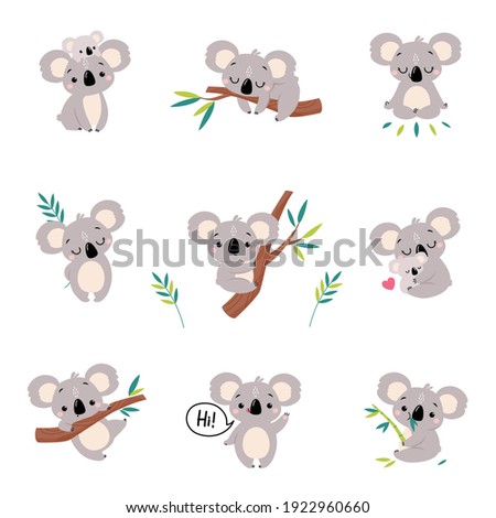 Adorable Koala in Various Actions Set, Lovely Australian Animals Cartoon Characters Vector Illustration