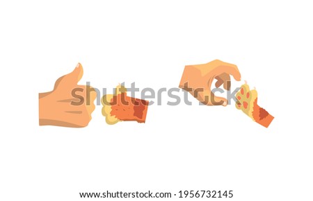Cat Paw and Human Hand Gesturing Showing Thumb Up and Clutching Vector Set