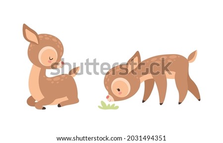Cute Baby Deer with Spots as Adorable Hoofed Mammal Sitting and Smelling Grass Vector Set