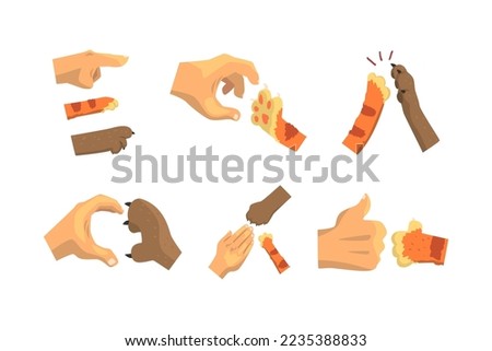 Cat or Animal Paw and Human Hand Gesturing Giving High Five and Showing Thumb Up Vector Set